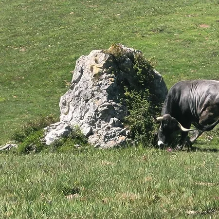 Nyaraló Arredondo